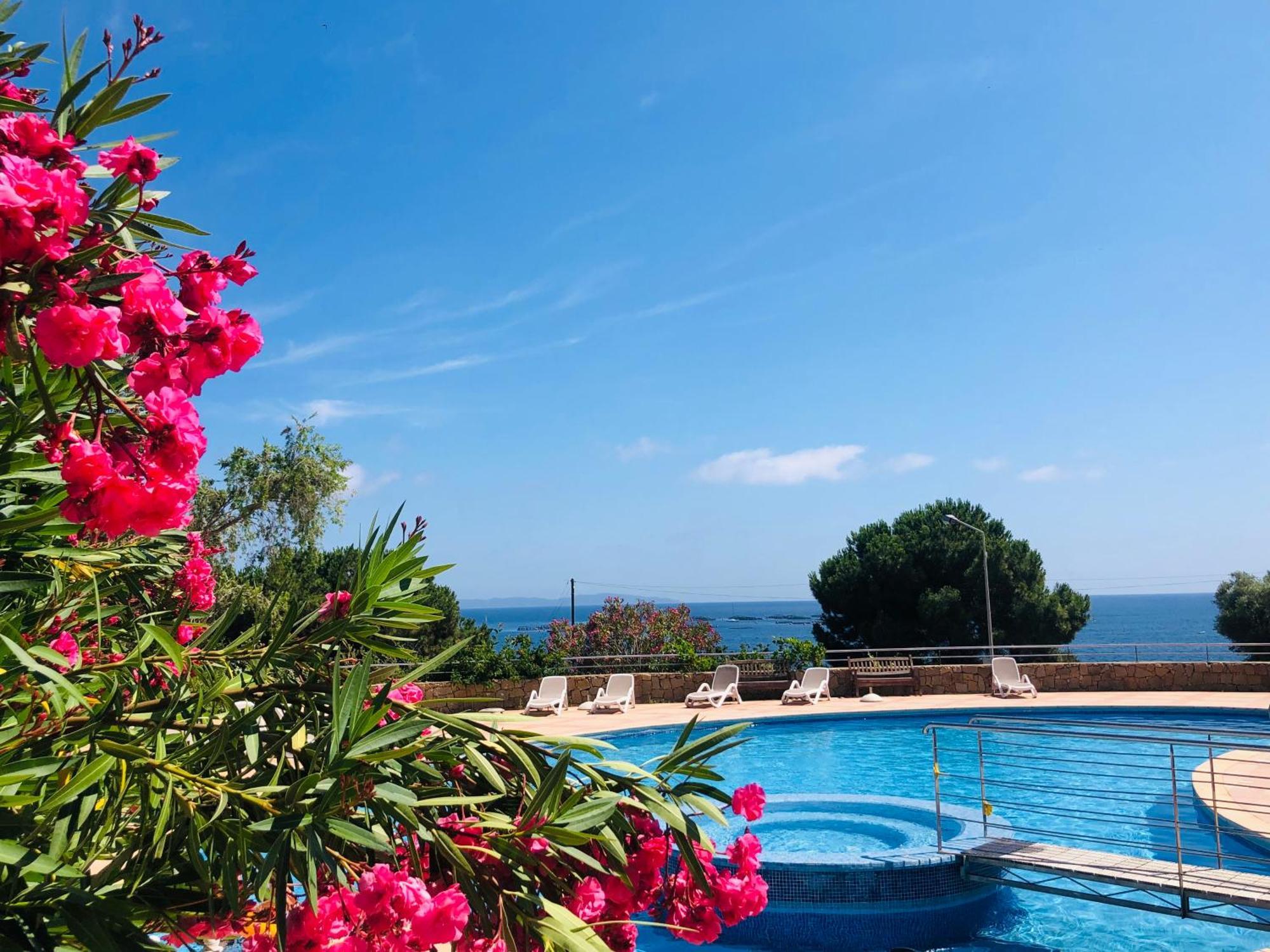 Superbe T2 Vue Mer - Piscine & Plage A 100M Ajaccio  Exterior photo